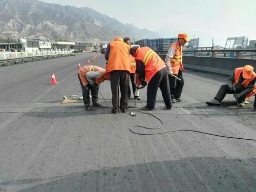 定陶道路桥梁病害治理